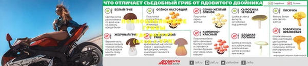 кокс Баксан