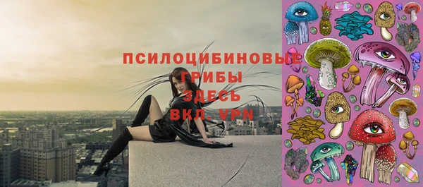 ПСИЛОЦИБИНОВЫЕ ГРИБЫ Балабаново