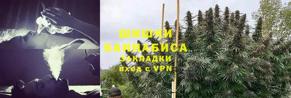 ПСИЛОЦИБИНОВЫЕ ГРИБЫ Балабаново