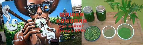ПСИЛОЦИБИНОВЫЕ ГРИБЫ Балабаново