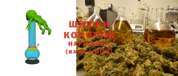 ПСИЛОЦИБИНОВЫЕ ГРИБЫ Балабаново